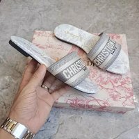 Dior Jardin D'hiver Slide Sandals T-Shirt